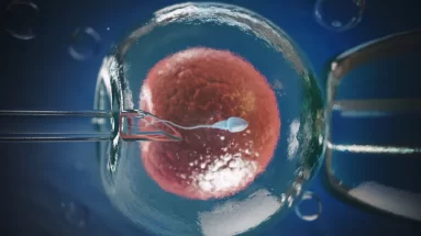 Fértil - Clínica Especializada em Reprodução Humana